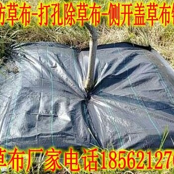 陕西打孔防草布