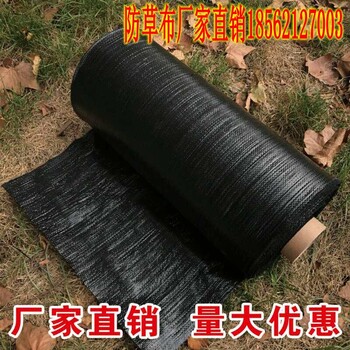 巴彥淖爾蓋草布(防草布)價格