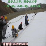 平顶山复合土工膜_土工布价格_防水土工布-山东土工布生产厂家图片5