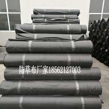 防草布和防草毛氈蓋草布廠家打孔