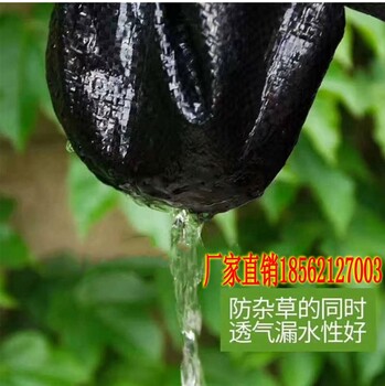 百色防草布100克介绍_批发除草布供应信息