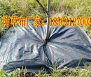 山东盖草布厂家,PE盖草布PP盖草布