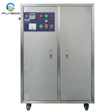 飞歌臭氧厂家直销FG-YQ20G高浓度臭氧用于泳池水饮用水等消毒杀菌图片