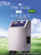 臭氧发生器空气源5G-500G食品厂化妆品厂净化车间图片