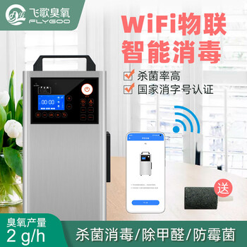 FG-S飛歌5g2g3g手提式臭氧消毒機汽車家用臭氧發(fā)生器除甲醛異味