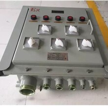 LXG-40JD-Exd防爆脉冲控制仪