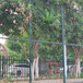 日字型足球场防护网体育场围栏浸塑勾花网护栏网