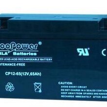 CooPower康博尔蓄电池12v12ah应急电源医疗设备专用12V15AH