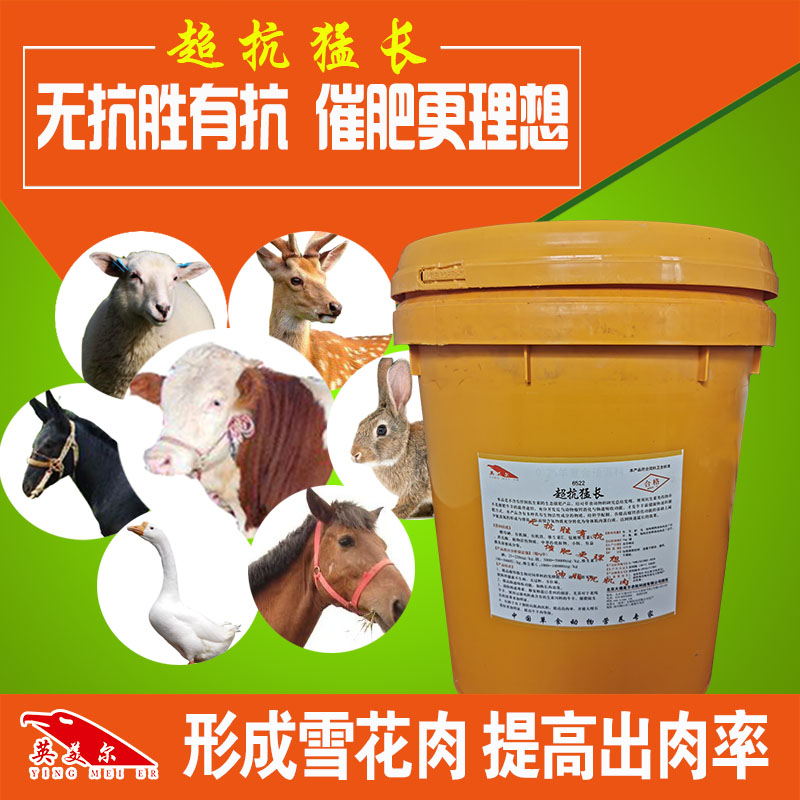 牛吃什么飼料長(zhǎng)得快，嚴(yán)寒冬季肉牛催肥絕招