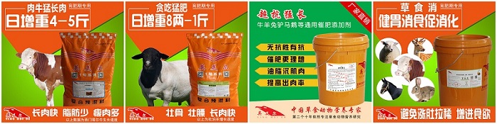 牛羊催肥吃什么，牛羊饲料