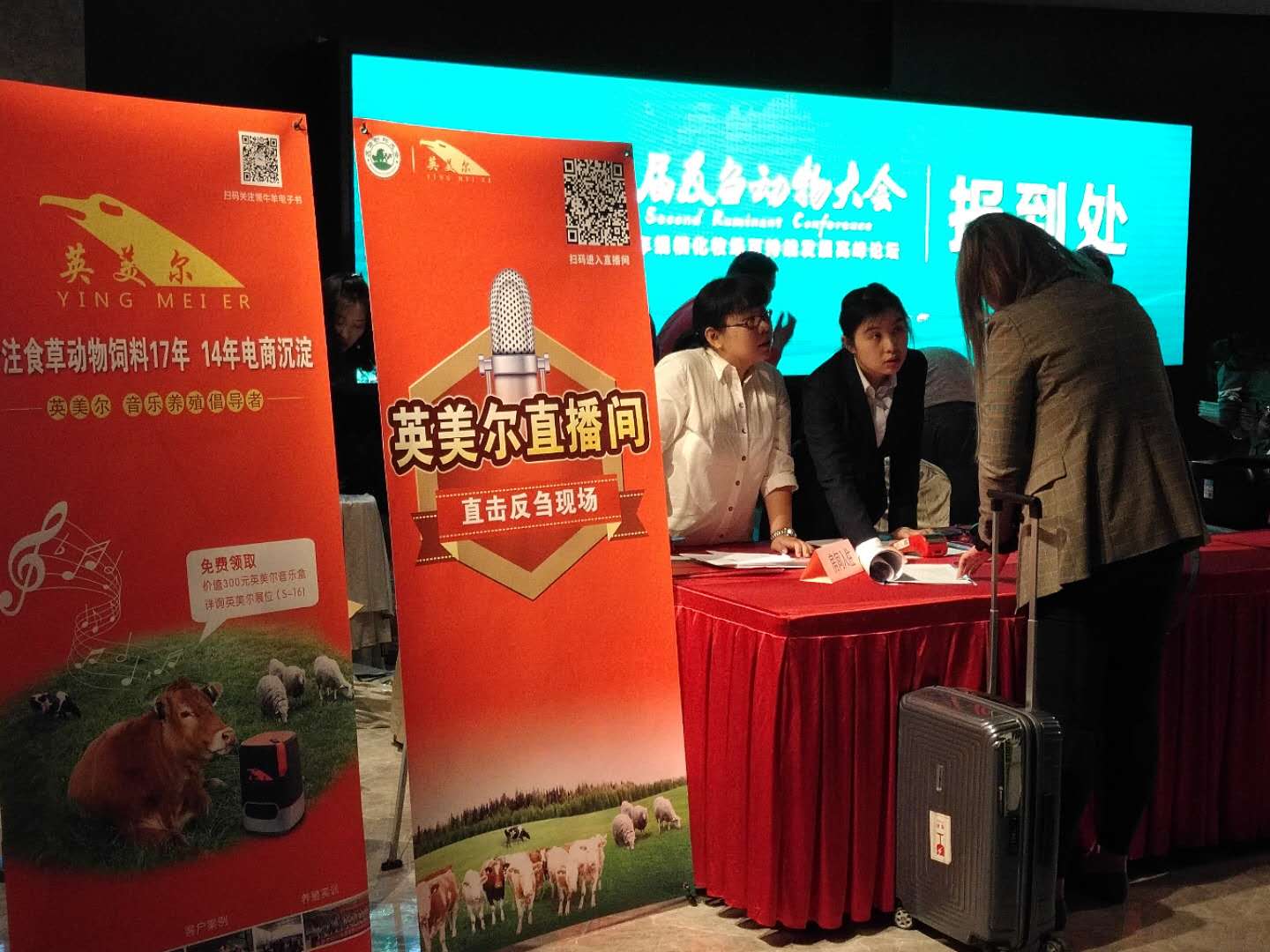 鵝催肥配方-肉鵝預(yù)混料