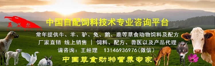 繁殖母牛的飼料配方錦集-母牛預(yù)混料