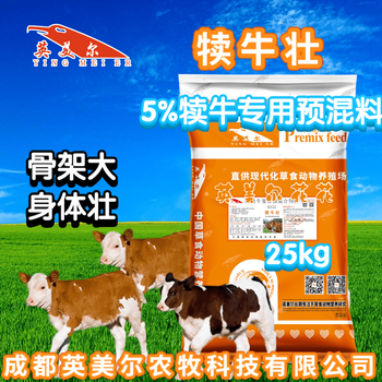 300斤小牛吃饲料-早期犊牛快速拉骨架