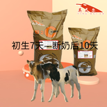 牛饲料品牌犊牛增重快厂家直发图片2