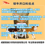 犊牛颗粒饲料犊牛断奶饲料厂家直发,犊牛开口料图片2