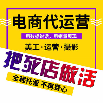 供应淘宝天猫代运营直通车推广整店托管