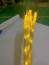 梅州led发光麦穗灯批发价格图片