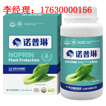 空心菜促根效果显著就用叶菜冲施肥