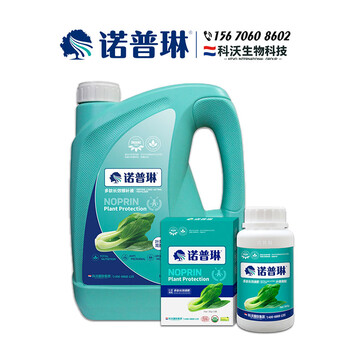 卷心菜提前成熟用什么肥---諾普琳葉菜肥