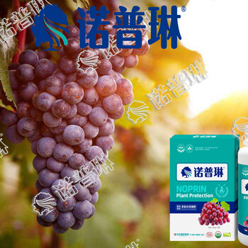 諾普琳葡萄保花保果的種植技術(shù)
