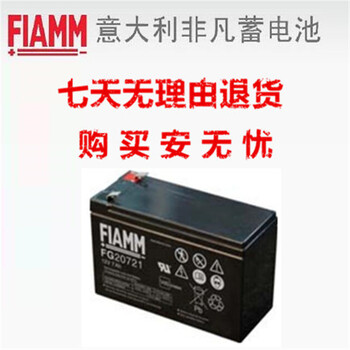 FIAMM非凡蓄电池FG20271蓄电池12V2.7AH