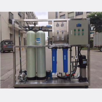 纯化水设备二级反渗透装置EDI纯水设备制药用超纯水系统