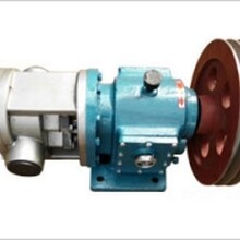 生产优良螺杆泵，转子泵，不锈钢凸轮转子泵
