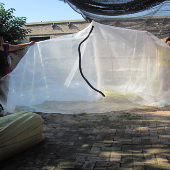 抗氧化蚂蚱养殖网加厚蝗虫养殖网厂家定做网棚安装大拉链