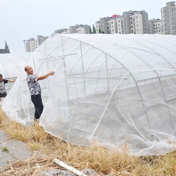 养蚂蚱用的纱网茂伦新料加厚蚂蚱网厂家定做成品网棚