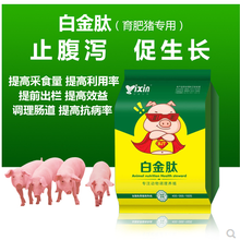 快速养猪如何养殖出栏快猪吃什么三个月出栏法图片