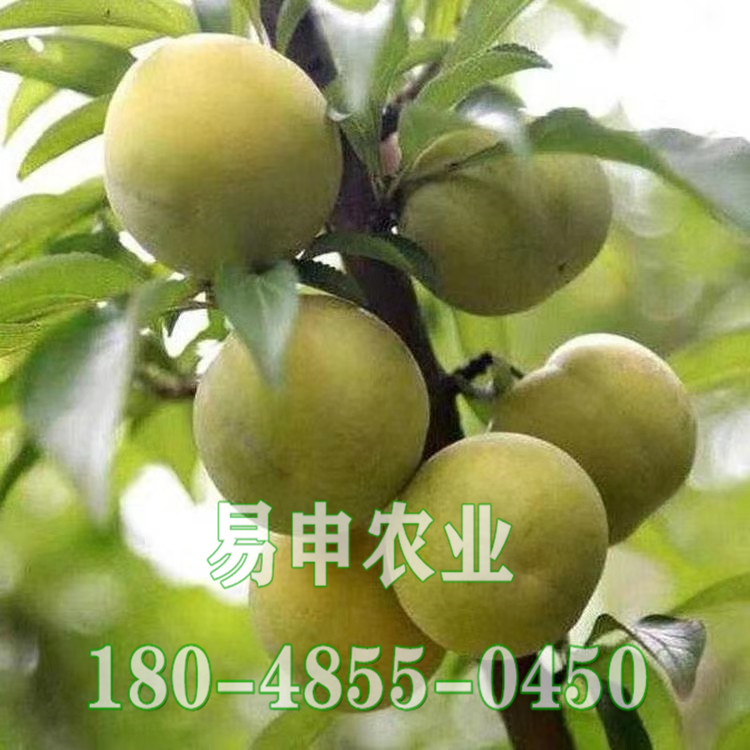 1570845594079173800-0.jpg