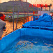 养殖帆布水池-帆批发支架式布养殖鱼池厂家-加工帆布水池