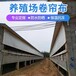 厂家直销养猪羊专用卷帘布猪场卷帘养殖场窗帘布