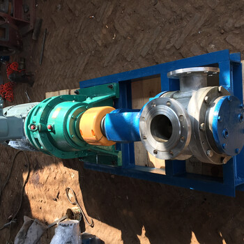 输送高粘度介质泵NYP20高粘度齿轮泵食品高粘度转子泵