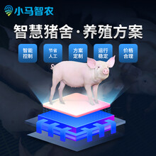 小马智农物联网智能养猪解决方案