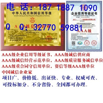 申请中国行业十证书