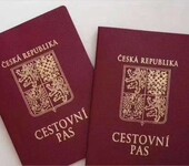 欧盟护照一步获得，快速入籍欧洲，获得欧盟公民身份