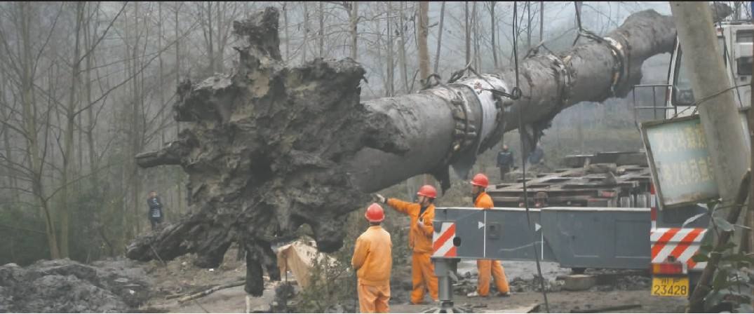 （乌木）私下洽谈交易、大同让、私人老板收购古董