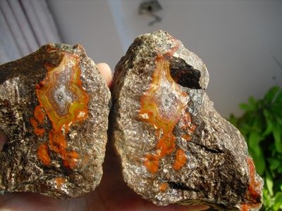 梧州有个人收购玉器化石（化石）私人现金收购