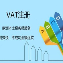 法国VAT年申报具体信息
