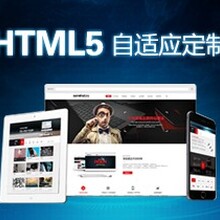 HTML5网站建设/量身设计/企业网站/黑羽网络