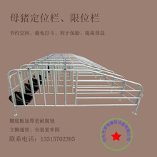 山东母猪定位栏猪用限位栏新款定位栏厂家供应