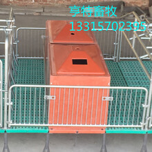 亨亚养猪设备复合保温箱塑料保温箱厂家直销现货供应