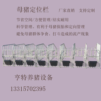 厂家现货供应定位栏限位栏母猪保胎栏多种型号支持定制