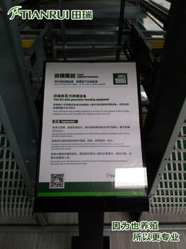 天津智能化养鸡设备厂家养鸡自动化设备