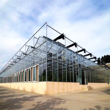双层中空玻璃温室建设厂家双层温室玻璃大棚双层连栋温室
