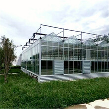 玻璃温室大棚制造商玻璃温室大棚施工组织玻璃温室大棚厂