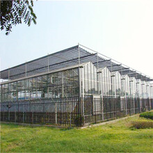 玻璃温室大棚价格玻璃温室承建商湖北玻璃连栋温室