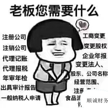 顺诚财务代理、税务代理，提供的财税服务