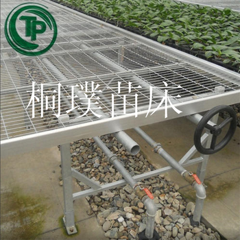 潮汐式育苗床水培苗床溫室苗床桐璞苗床